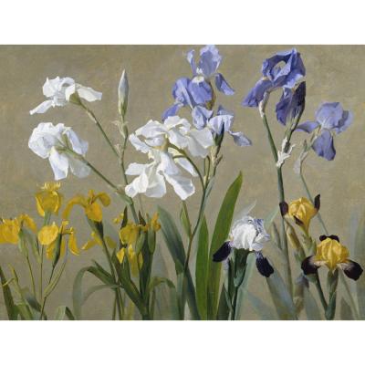 Jean Benner – Irises